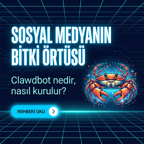 Sosyal Medyanın Bitki Örtüsü: Clawdbot nedir, nasıl kurulur? 