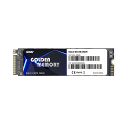 XASER 256GB M.2 NVMe 2200/1800 MB/s Golden Memory SSD - Xaser (1)